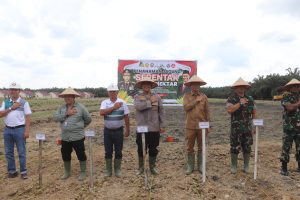 Penanaman Jagung Serentak 1 Juta Hektar : Wujud Nyata Program Ketahanan Pangan