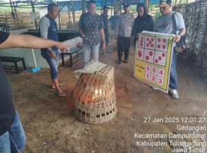 Penggerebekan Judi Sabung Ayam di Gedangan Tulungagung Gagal Amankan Pelaku