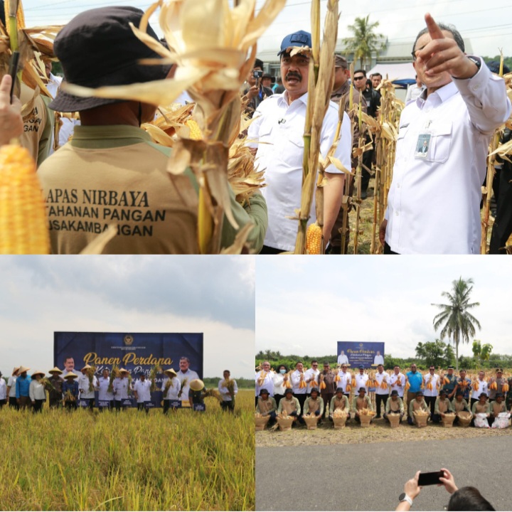 Nusakambangan Panen Perdana, Bangun Lumbung Ketahanan Pangan dan Beri Kesempatan Warga Binaan