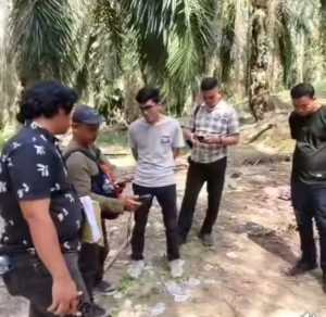 Terkait Penjarahan Buah Sawit, Mantan Camat Klaim Kawasan Hutan Produksi Kebun Miliknya