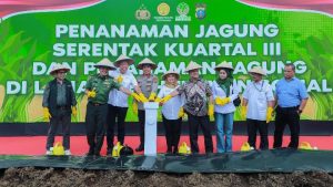 Polda Sumut Tanam Jagung Serentak, Targetkan 24 Ribu Ton Demi Swasembada Pangan 2025