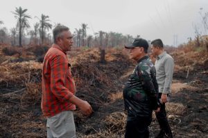 Pasca Hujan, Bupati Rohil Tinjau Lokasi Karhutla Di Kecamatan Kubu