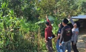 Tersengat Listrik Saat Cari Pakan Ternak, Lansia di Tulungagung Meninggal Dunia