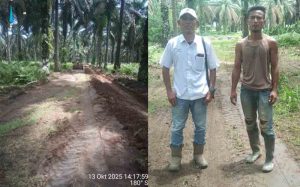 Pembukaan Jalan Menuju ke Pemakaman Dsn 4 Afd 1 Perkebunan Bandar Pulau Terwujud