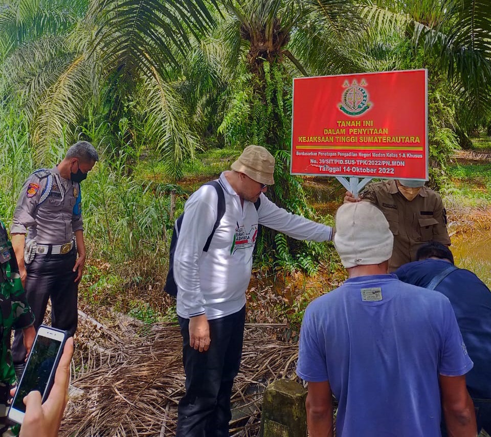 Lahan Sawit Sitaan Jaksa Dari Terdakwa Akuang Tetap Dipanen Kejari Langkat Terkesan Tutup Mata