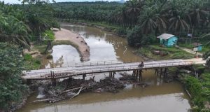 PalmCo Perbaiki Jembatan Sungai Sosa, Penghubung Vital 13 Desa di Palas
