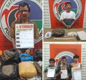 Polres Padang Lawas Ungkap Jaringan Ganja Antar Desa, Bandar dan Pengedar Ditangkap