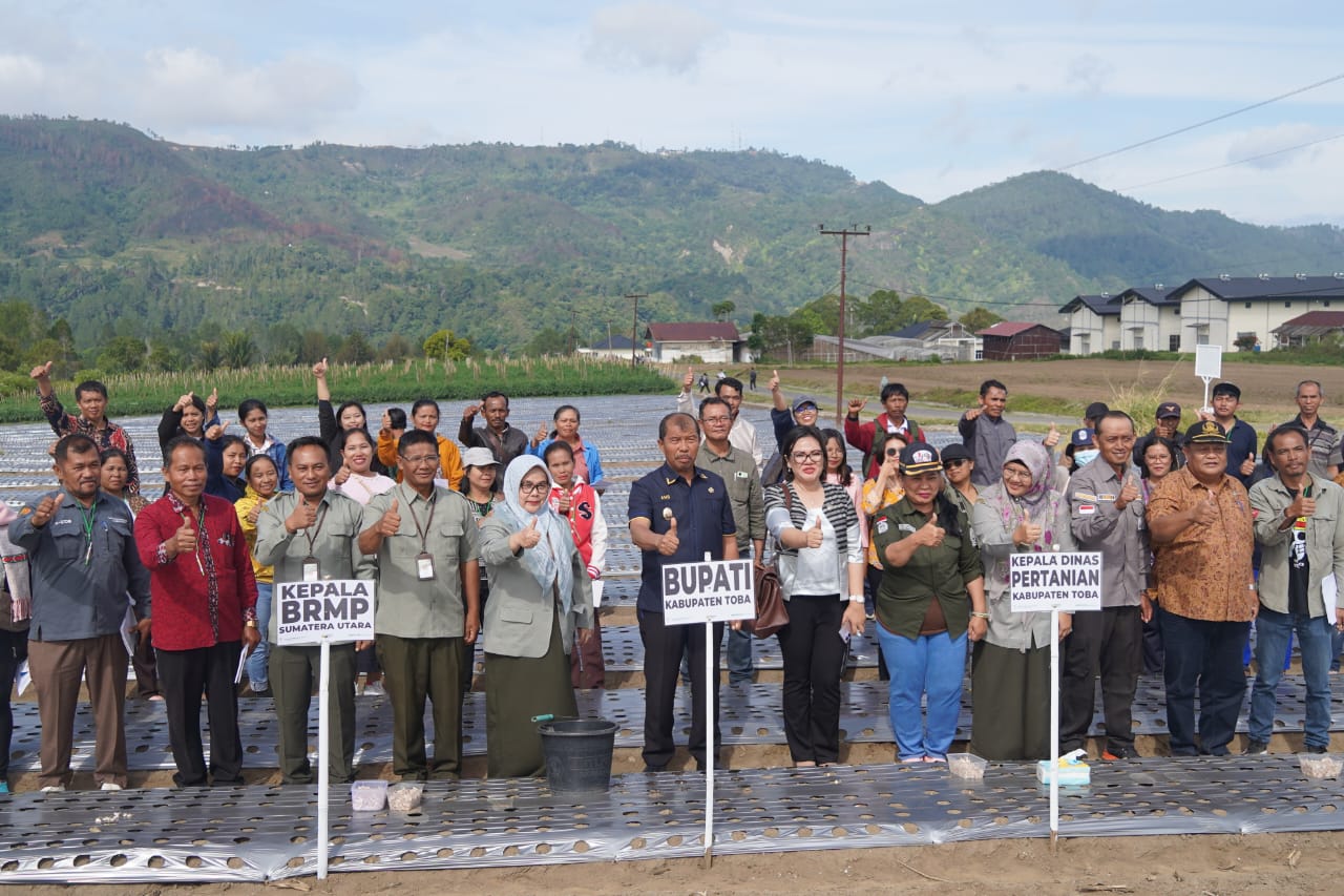 Wakil Bupati Toba Buka Bimtek Diseminasi Hasil Standarisasi Pertanian 2025