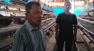Desa Pertabas Kembangkan Budidaya Ayam Merah Petelur sebagai Program Unggulan Ketahanan Pangan