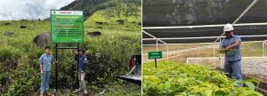 Demi Masa Depan Danau Toba, Inalum Kolaborasi dengan PJT 1 untuk Konservasi Air dan Hutan