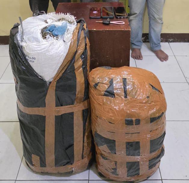 Ditresnarkoba Polda Sumut Gagalkan Peredaran 20 Kg Ganja Asal Aceh, Tiga Pelaku Diamankan di Medan