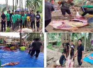 Mahasiswa UMN Al Washliyah Bantu Warga Potong Hewan Sambut Bulan Suci Ramadhan (Meugang)