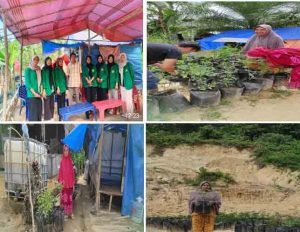 Mahasiswa UMN Al Washliyah Beri Edukasi Penanaman Tanaman Hortikutura untuk Sumber Pangan dan Pendapatan Keluarga di Desa Lubuk Sidup