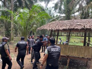 Polres Binjai Kembali Grebek dan Musnahkan Barak Narkoba di Kecamatan Selesai
