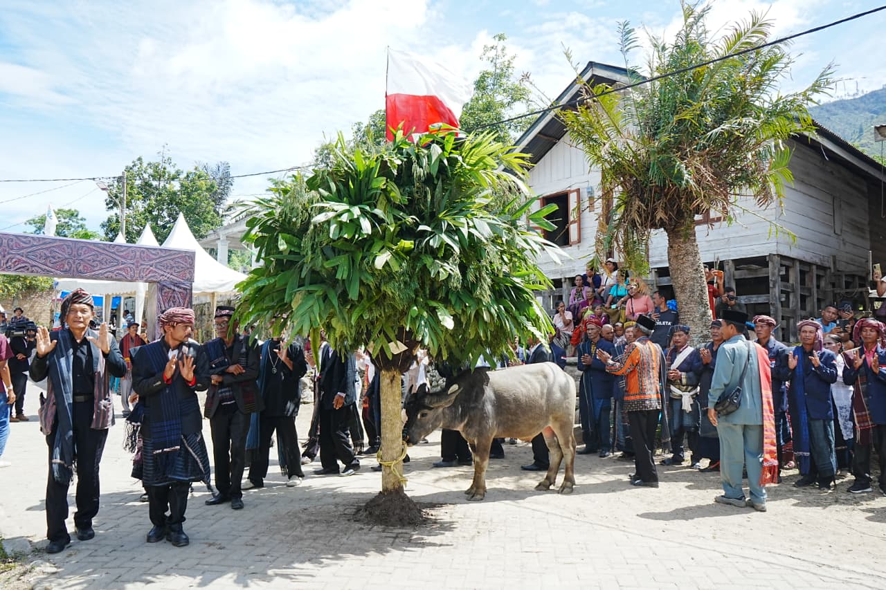 Event Budaya Horja Bius “Pasahat Horbo Lae-Lae Tu Dolok Pusuk Buhit”, Merawat Tradisi Leluhur dan Wujud Syukur pada Sang Pencipta