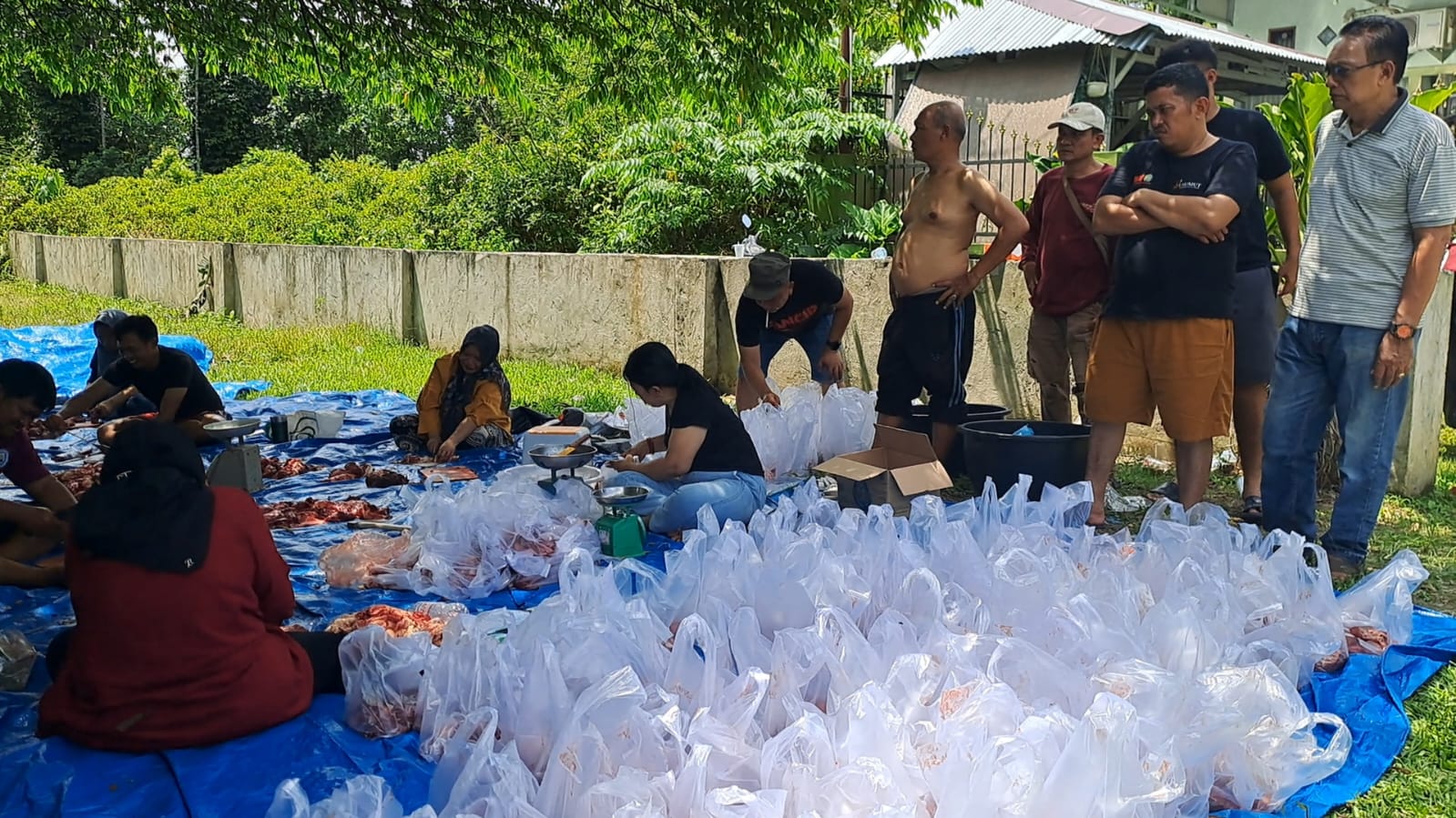 Gubsu Salurkan 4 Ekor Lembu untuk FWP dan Masyarakat