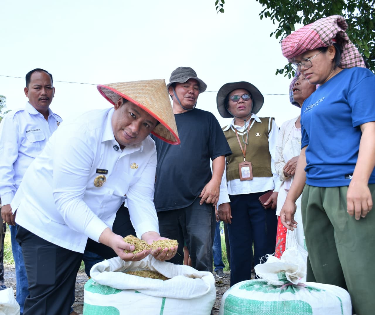 Taksi Alsintan Permudah Petani, Bupati Samosir Vandiko T. Gultom Turun Langsung Panen Padi Bersama Masyarakat