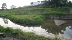‎Sebuah Pulau yang Terbentuk di Kanal Marindal Jadi Fenomenal
