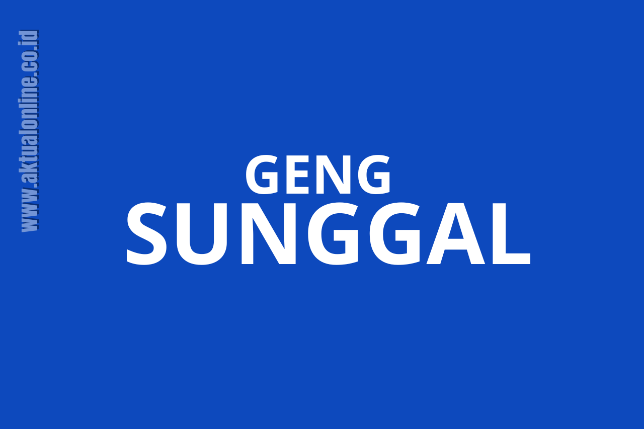 ‎’Geng Sunggal’ Kuasai Proyek Pemko Medan