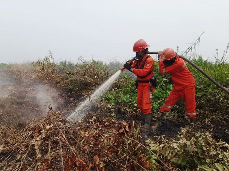 Ancaman Karhutla Melonjak 52,5 Persen: 372 Hotspot Kepung Indonesia, Menhut Terjunkan Pasukan ke Habitat Orangutan TN Tanjung Puting